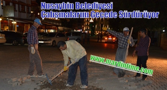  Nusaybin Belediyesi Çalışmalarını Gecede Sürdürüyor