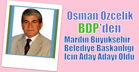 Osman Özçelik, BDP'den adaylık başvurusunda bulundu