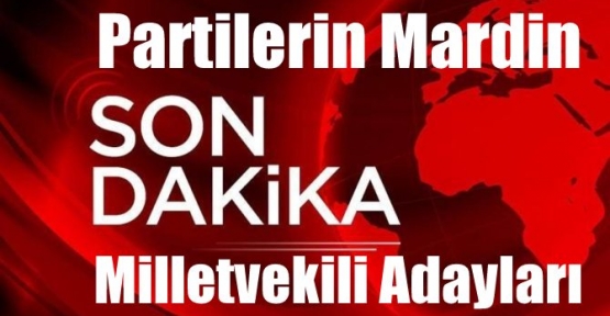 Partilerin Mardin Milletvekili Adayları