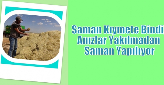 Saman kıymete bindi, anızlar yakılmadan saman yapılıyor