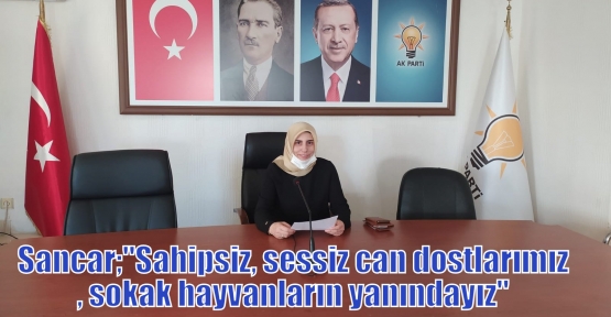 Sancar;“Sahipsiz, sessiz can dostlarımız, sokak hayvanların yanındayız“