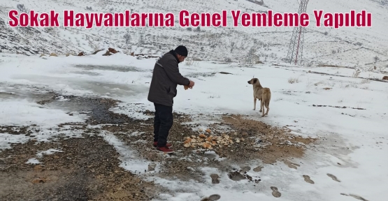 Sokak Hayvanlarına Genel Yemleme Yapıldı