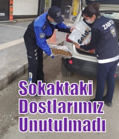 Sokaktaki Dostlarımız Unutulmadı