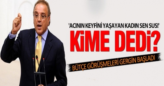 TBMM'de bütçe görüşmeleri başladı