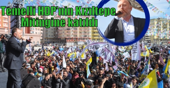 Temelli HDP’nin Kızıltepe Mitingine katıldı