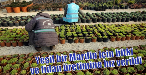 Yeşil bir Mardin için bitki ve fidan üretimine hız verildi