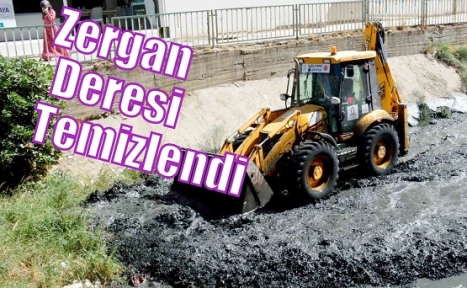 Zergan Deresi Temizlendi