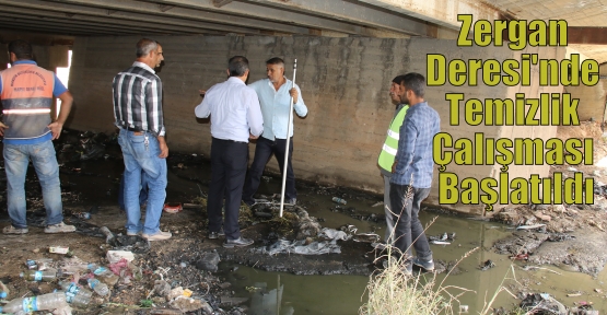 Zergan Deresi'nde Temizlik Çalışması Başlatıldı