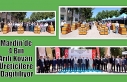 Mardin’de 4 Bin Arılı Kovan Üreticilere Dağıtılıyor