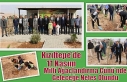 Kızıltepe'de 11 Kasım Milli Ağaçlandırma...