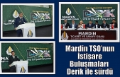 Mardin TSO’nun İstişare Buluşmaları Derik ile sürdü