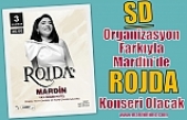 SD Organizasyon Farkıyla Mardin’de ROJDA Konseri Olacak