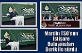 Mardin TSO’nun İstişare Buluşmaları Derik ile sürdü