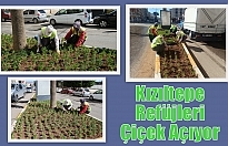 Kızıltepe Refüjleri Çiçek Açıyor