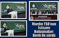 Mardin TSO’nun İstişare Buluşmaları Derik ile sürdü