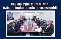 Vali Akkoyun, Muhtarlarla istişare toplantısında bir araya geldi