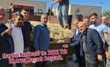 Mardin Kızıltepe’de 2022 Yılı İlk Arpa Hasadı Başladı.