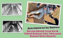 Dicle Elektrik’ten Suç Duyurusu: Borcunu Ödemek Yerine Kaçak Elektrik Bağlayan Şahıs Teknisyenin Ölümüne Neden Oluyordu