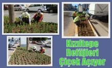 Kızıltepe Refüjleri Çiçek Açıyor