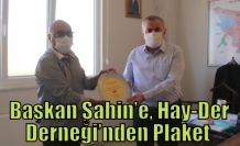 Başkan Şahin’e, Hay-Der Derneği’nden Plaket