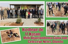 Kızıltepe'de 11 Kasım Milli Ağaçlandırma Günü'nde Geleceğe Nefes Olundu