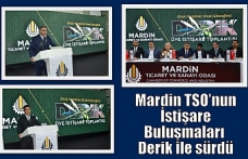 Mardin TSO’nun İstişare Buluşmaları Derik ile sürdü