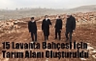 15 Lavanta Bahçesi İçin Tarım Alanı Oluşturuldu