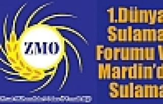 1.Dünya Sulama Forumu Ve Mardin’de Sulama