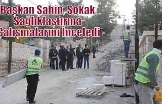 Başkan Şahin, Sokak Sağlıklaştırma Çalışmalarını...