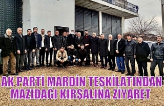 AK PARTİ MARDİN TEŞKİLATINDAN MAZIDAĞI KIRSALINA...