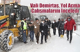 Vali Demirtaş, Yol Açma Çalışmalarını İnceledi