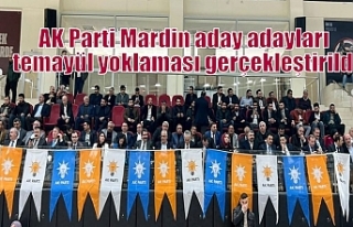 AK Parti Mardin aday adayları temayül yoklaması...