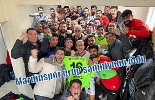 Mardinspor grup şampiyonu oldu