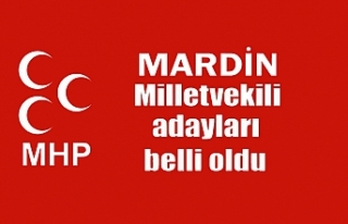 MHP Mardin milletvekili aday listesini duyurdu