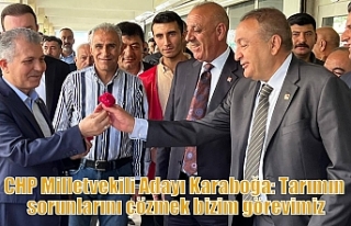 CHP Milletvekili Adayı Karaboğa: Tarımın sorunlarını...