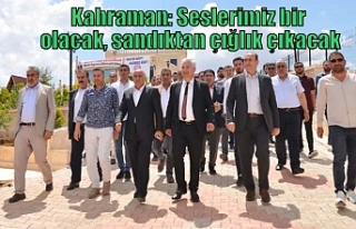 Kahraman: Seslerimiz bir olacak, sandıktan çığlık...