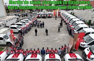 Mardin’de sinek, sivrisinek ve haşerelere karşı...