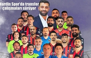 Mardin Spor’da transfer çalışmaları sürüyor