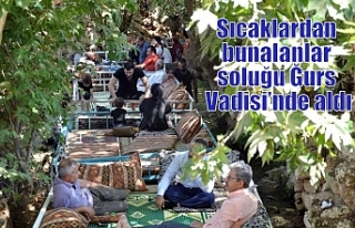 Sıcaklardan bunalanlar soluğu Ğurs Vadisi’nde...