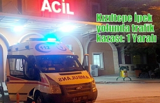 Kızıltepe İpek yolunda trafik kazası: 1 Yaralı
