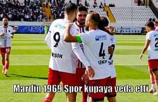 Mardin 1969 Spor kupaya veda etti