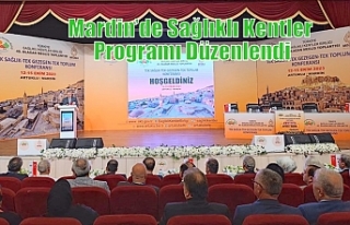 Mardin’de Sağlıklı Kentler Programı Düzenlendi