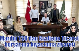 Mardin TSO’dan Kızıltepe Ticaret borsasına kıyaslama...