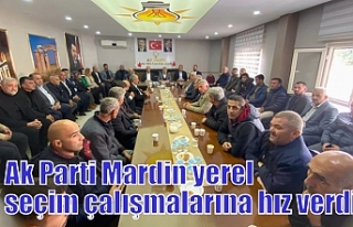 Ak Parti Mardin yerel seçim çalışmalarına hız...