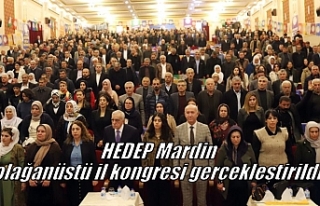 HEDEP Mardin olağanüstü il kongresi gerçekleştirildi