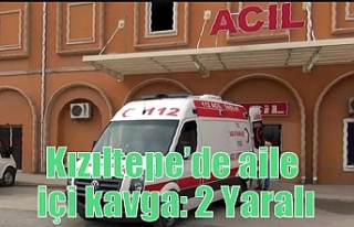 Kızıltepe’de aile içi kavga: 2 Yaralı