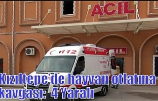 Kızıltepe’de hayvan otlatma kavgası: 4 Yaralı