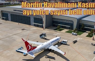 Mardin Havalimanı Kasım ayı yolcu sayısı belli...