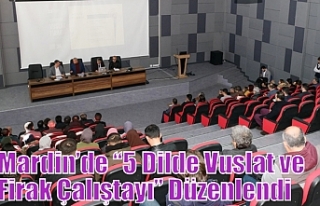 Mardin’de “5 Dilde Vuslat ve Firak Çalıştayı”...