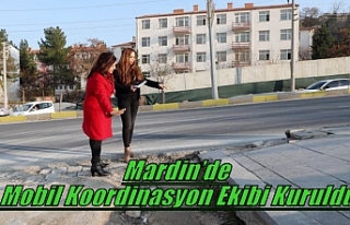 Mardin’de Mobil Koordinasyon Ekibi Kuruldu